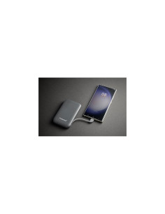 Intenso S10000 Polímero de litio 10000 mAh Gris