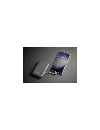 Intenso S10000 Polímero de litio 10000 mAh Gris
