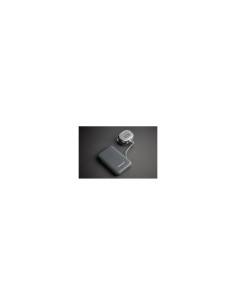 Intenso S10000 Polímero de litio 10000 mAh Gris 2