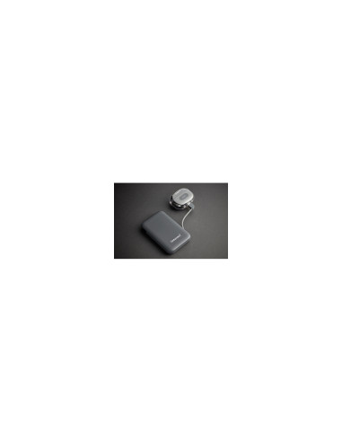 Intenso S10000 Polímero de litio 10000 mAh Gris