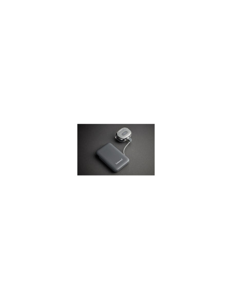 Intenso S10000 Polímero de litio 10000 mAh Gris