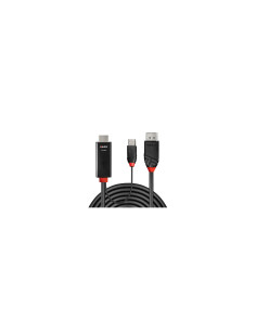 Lindy 41498 adaptador de cable de vÍ­deo 1 m HDMI + USB Type-A DisplayPort Negro 2