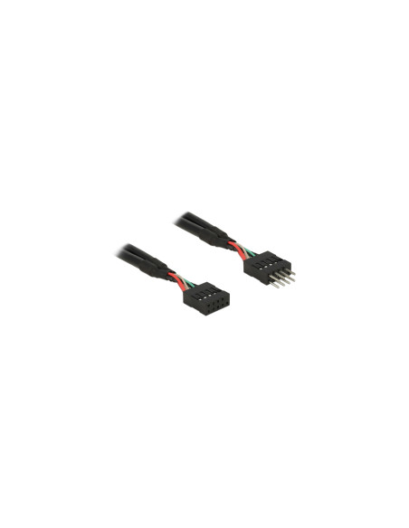 DeLOCK 0.1m 2xUSB2.0 10p cable USB 0,1 m USB 2.0 Negro