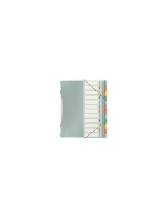 Esselte 626256 lengüeta de índice Separador en blanco con pestaña Polipropileno (PP) Multicolor