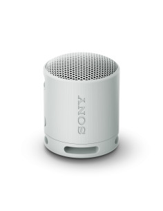 Sony SRS-XB100 Altavoz monofónico portátil Gris