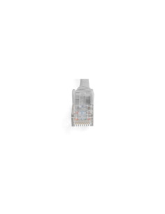 StarTech.com Cable Ethernet CAT6 de 2m - LSZH - Cable de Red de 10 2