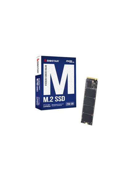 Biostar M760 256 GB M.2 PCI Express 4.0 NVMe