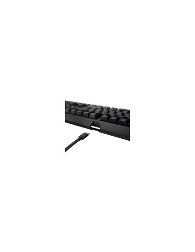 CHERRY XTRFY MX 3.1 RGB teclado Juego USB QWERTY Español Negro