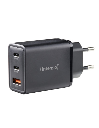 Intenso 7806510 adaptador e inversor de corriente Interior 65 W Negro