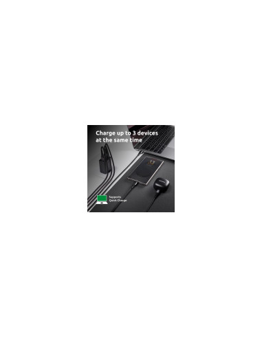 Intenso 7806510 adaptador e inversor de corriente Interior 65 W Negro