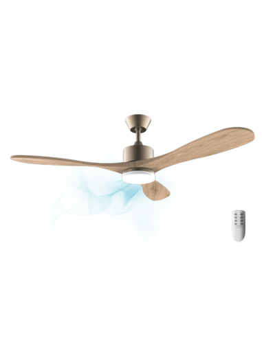 Ventilador de techo EnergySilence Aero 5290 Golden Pro