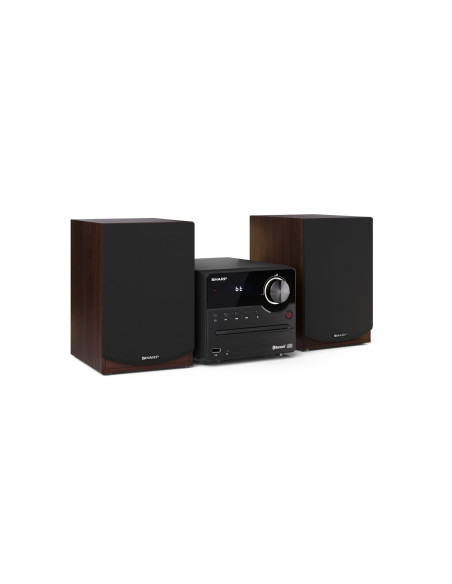 Sharp XL-B512(BR) sistema de audio para el hogar Microcadena de