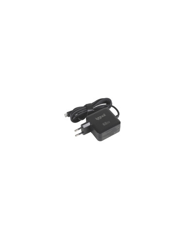 iggual Cargador portátil y móvil tipo C PD 65W