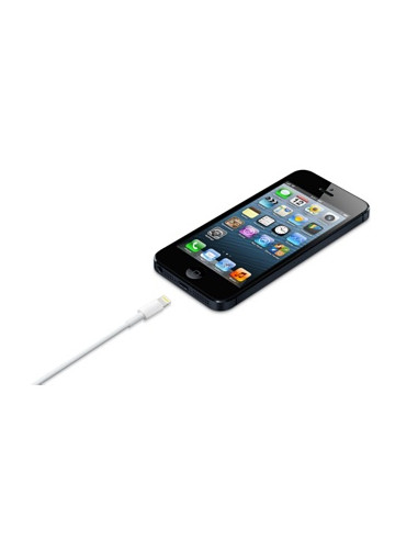 APPLE CABLE LIGHTNING TO USB 0.5M WHITE ME291ZM/A