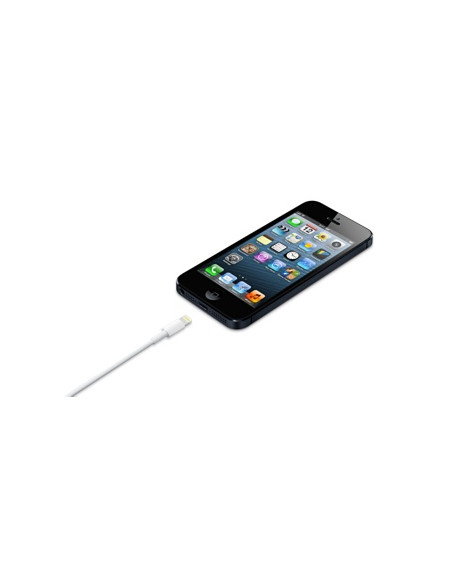 APPLE CABLE LIGHTNING TO USB 0.5M WHITE ME291ZM/A