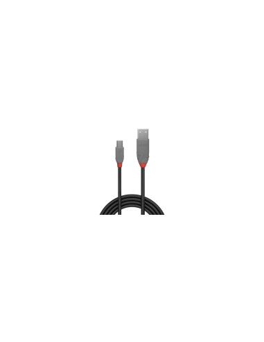 Lindy 36722 cable USB USB 2.0 1 m USB A Mini-USB B 0,48 Gbit/s Negro,