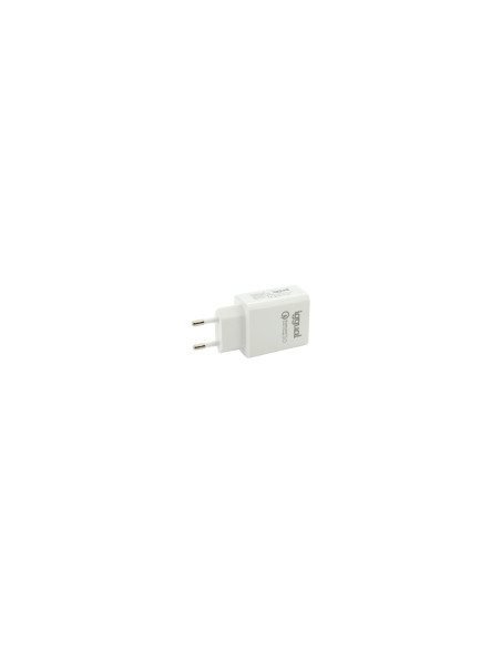 iggual Cargador 1xUSB carga rápida QC3.0 18W