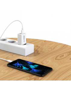 Eightt Cargador Smartphone / Tablet 5V 2.4A con cable Lightning 2