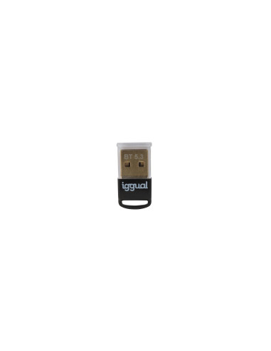 iggual Adaptador USB 2.0 mini Bluetooth 5.3