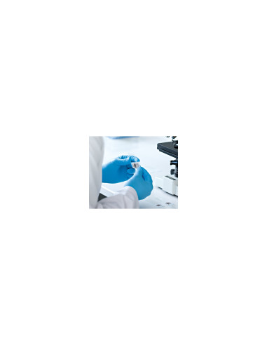 DYMO LW etiquetas de dirección multiusos auténticas | 32 mm × 57 mm |
