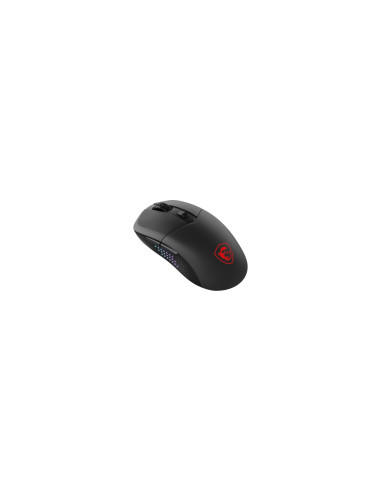 MSI VERSA 300 ELITE WIRELESS ratón Juego mano derecha RF Wireless +
