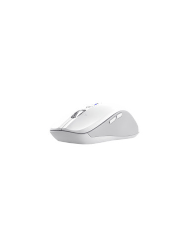 Trust 25674 ratón Universal Ambidextro Bluetooth 3200 DPI