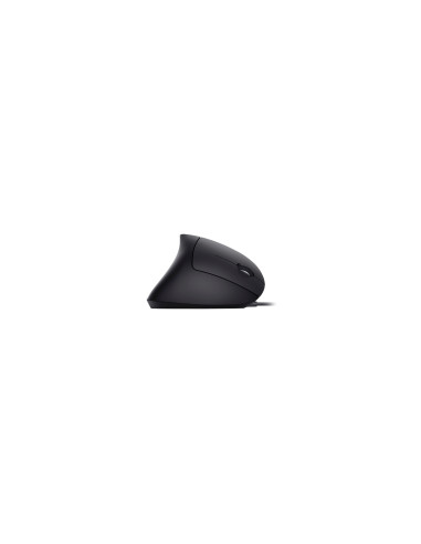 Equip 245118 ratón Universal mano derecha USB tipo A Óptico 3200 DPI