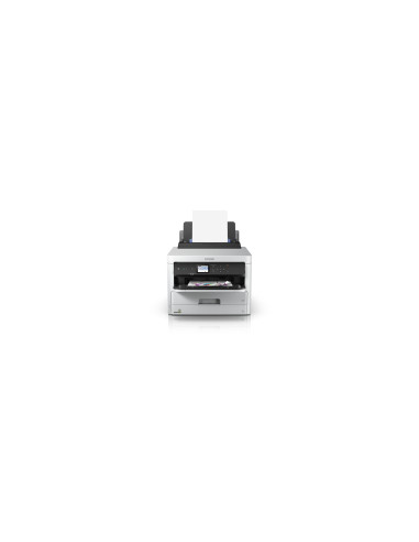 Epson DURABrite Pro
