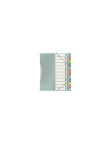 Esselte 626256 separador Multicolor Polipropileno (PP)