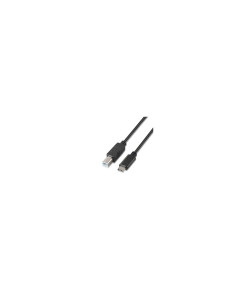 AISENS A107-0053 cable USB USB 2.0 1 m USB C USB B Negro