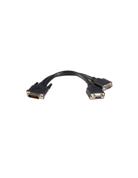 StarTech.com Cable de 0,2m de LFH59 DMS-59 a doble dual VGA - DMS59