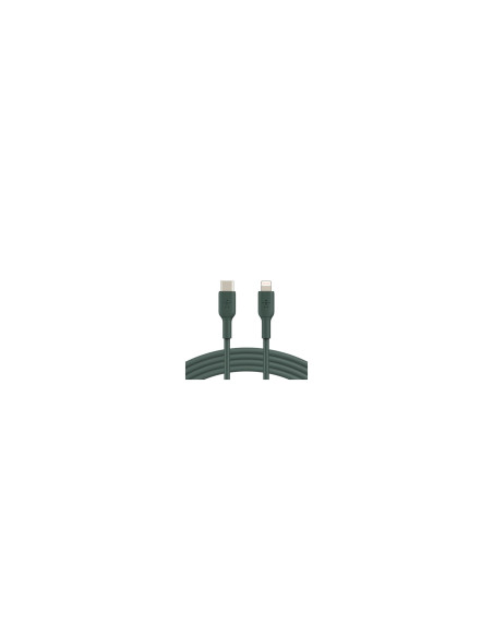 Cable Belkin de conector Lightning macho/USB C macho 1 m Negro