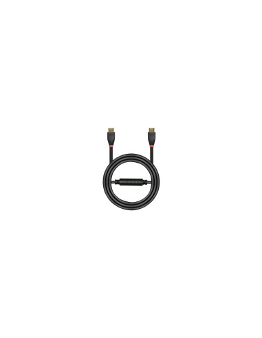 Lindy 41074 cable HDMI 25 m HDMI tipo A (Estándar) Negro