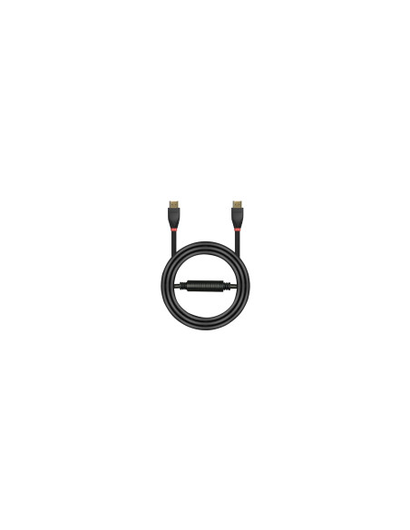 Lindy 41074 cable HDMI 25 m HDMI tipo A (Estándar) Negro