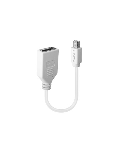 Lindy 41021 cable DisplayPort 0,15 m Mini DisplayPort Blanco