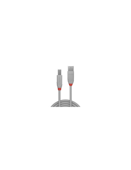 Lindy 36681 cable USB USB 2.0 0,5 m USB A USB B 0,48 Gbit/s Gris