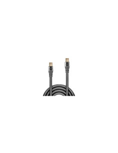 Lindy 36307 cable DisplayPort 2 m Mini DisplayPort Gris 2