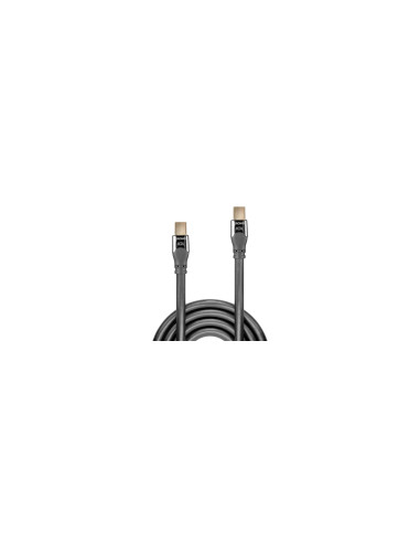 Lindy 36307 cable DisplayPort 2 m Mini DisplayPort Gris