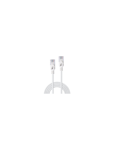 Lindy 47581 cable de red Gris 0,5 m Cat6a U/UTP (UTP)