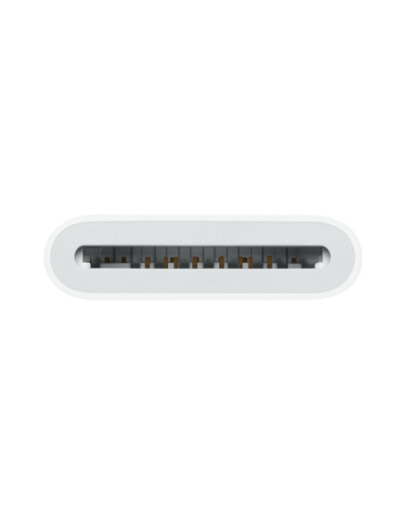 Apple MW653ZM/A lector de tarjeta USB 2.0 Type-C Blanco