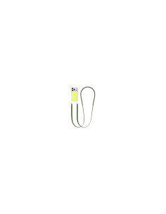 Apple MGGF4ZM/A accesorio para funda de teléfono móvil 2