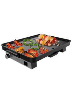 Plancha eléctrica Magnet 1800