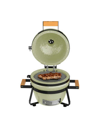 Barbacoa DragonFire 3200