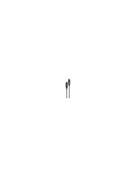 Gembird CC-DP8K-AOC-30M cable DisplayPort Negro