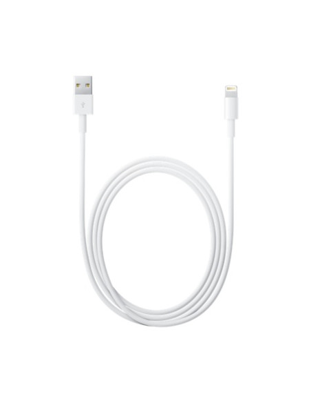 APPLE CABLE LIGHTNING TO USB 2M MD819ZM/A