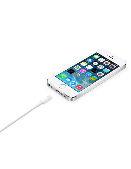 APPLE CABLE LIGHTNING TO USB 2M MD819ZM/A