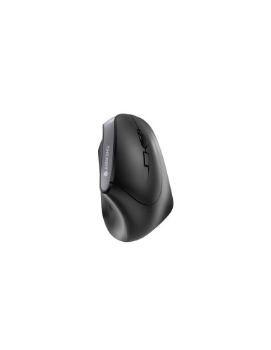 CHERRY MW 4500 ratón Oficina mano derecha RF inalámbrico Óptico 1200
