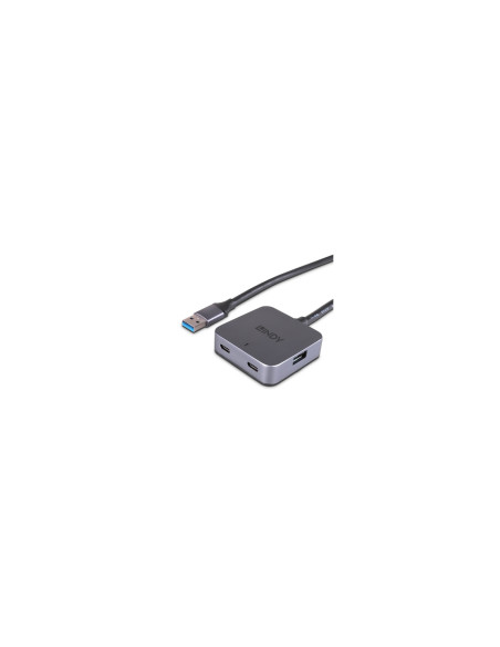 Lindy 43388 hub de interfaz USB 3.2 Gen 1 (3.1 Gen 1) Type-A 5000