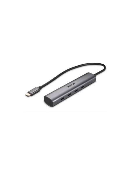 Lindy 43384 hub de interfaz USB Tipo C 10000 Mbit/s Gris