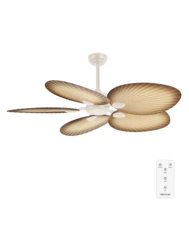 EnergySilence Aero 5200 Palm